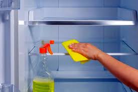 نظافت یخچال فریزر